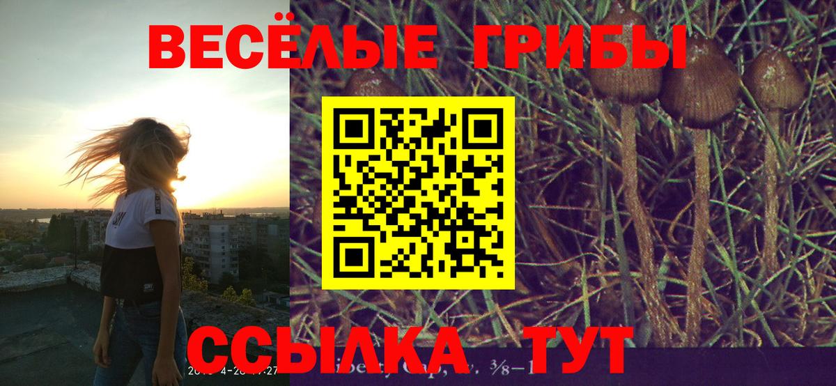 Бузулук  Псилоцибиновые грибы мухоморы  Вход с VPN  Псилоцибиновые грибы Psilocybe 