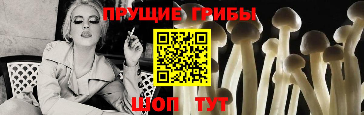 Псилоцибиновые грибы GOLDEN TEACHER Бузулук